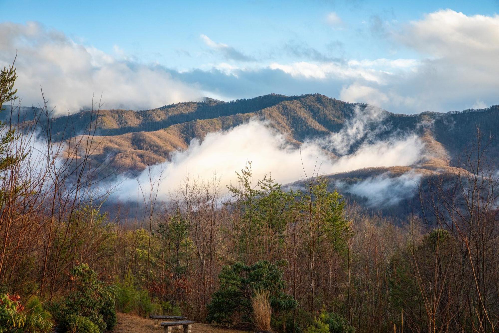 Real Log Cabin With Amazing Views, Hot Tub, Sauna, Games جاتلينبرج المظهر الخارجي الصورة