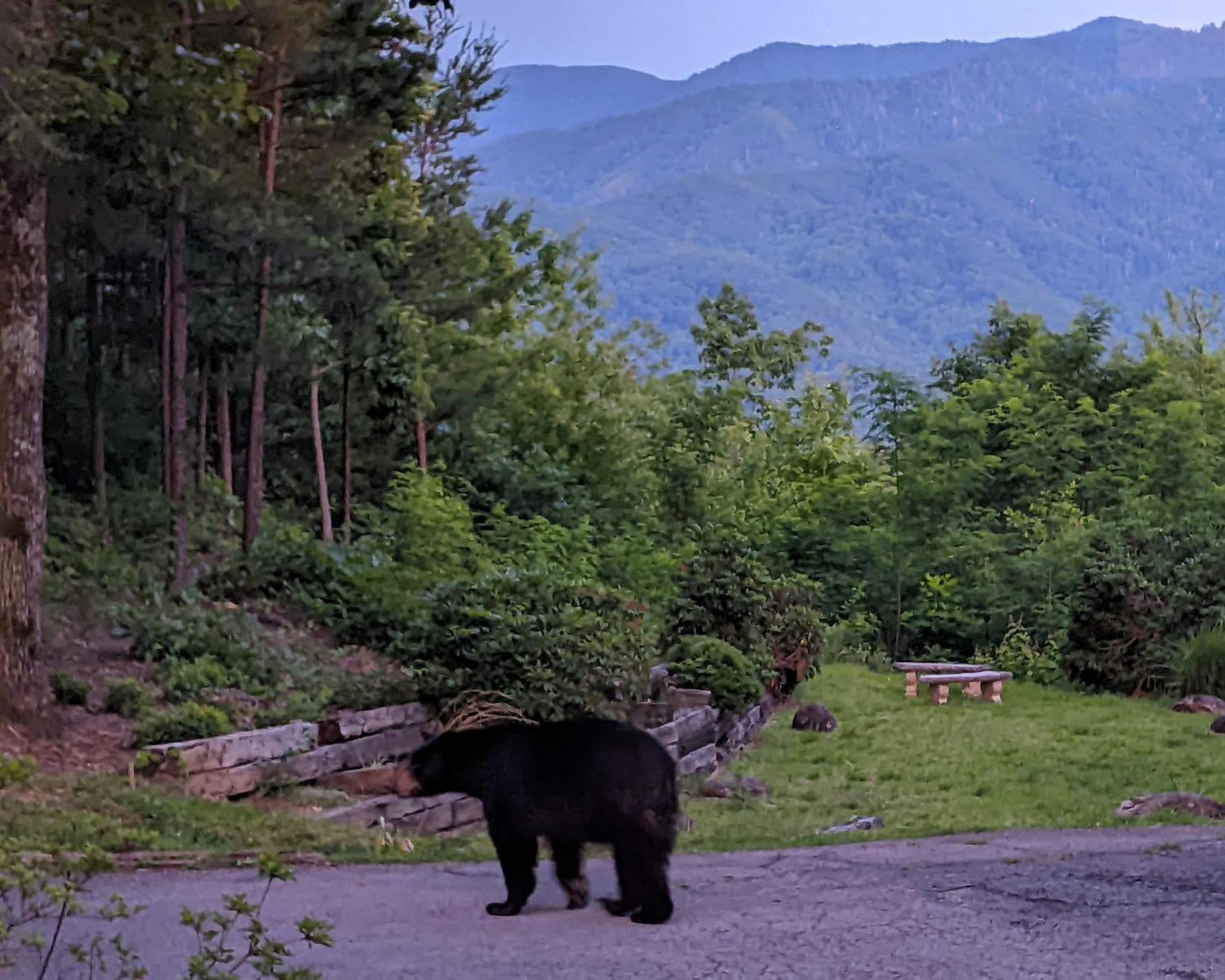 Real Log Cabin With Amazing Views, Hot Tub, Sauna, Games جاتلينبرج المظهر الخارجي الصورة